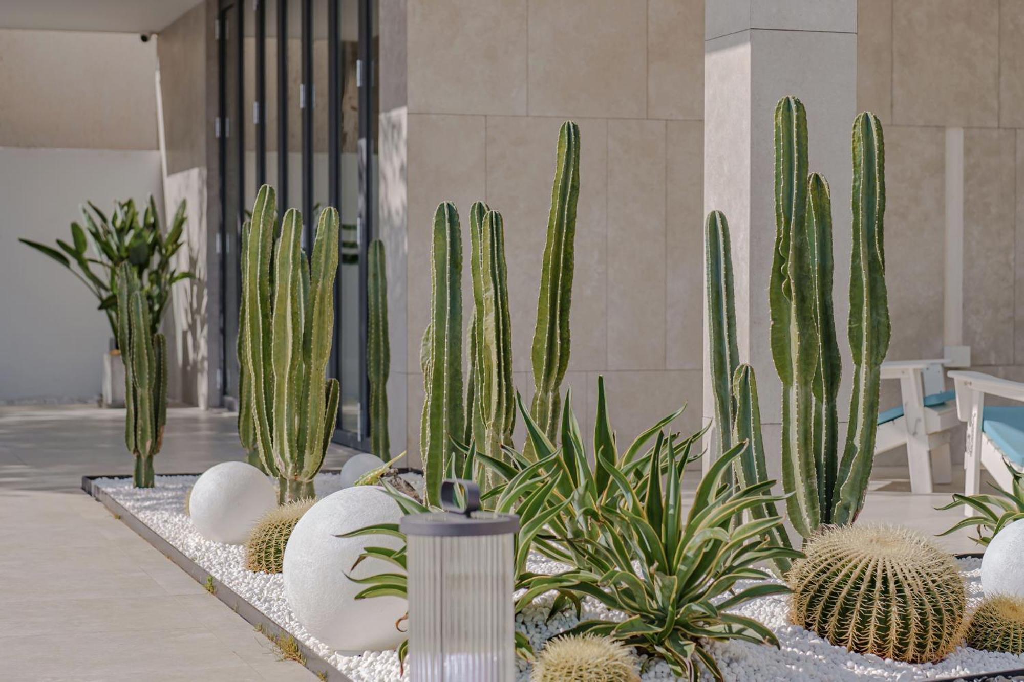 Dali Oriental Seaview Hotel -Dali Erhai Екстер'єр фото